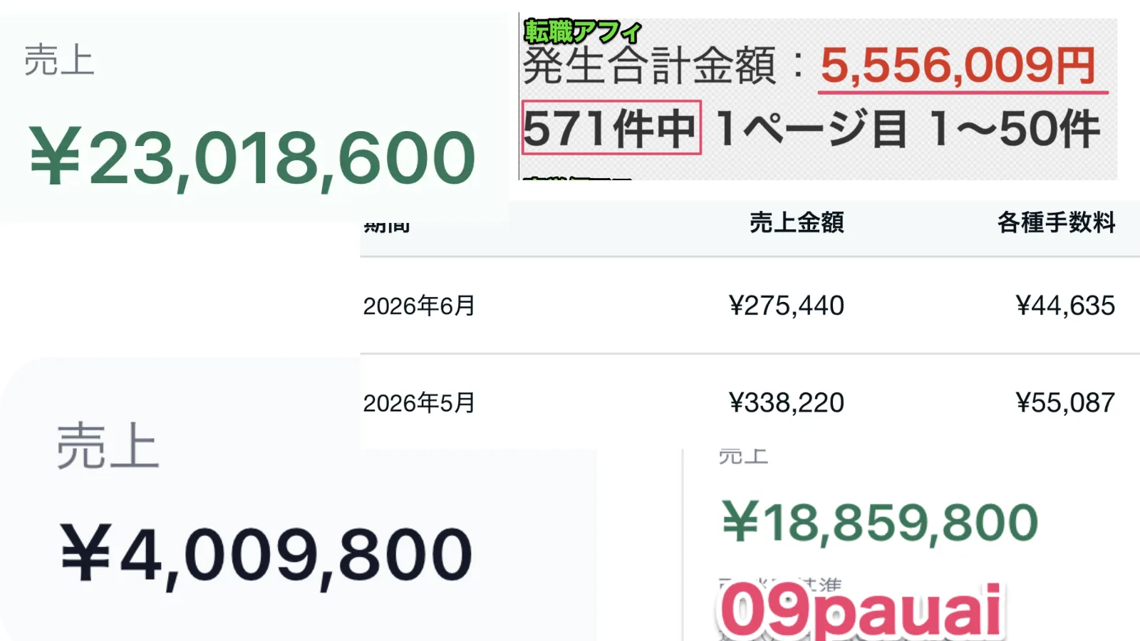 ぱううが提供したSNSアフィリエイト実績の参考画面